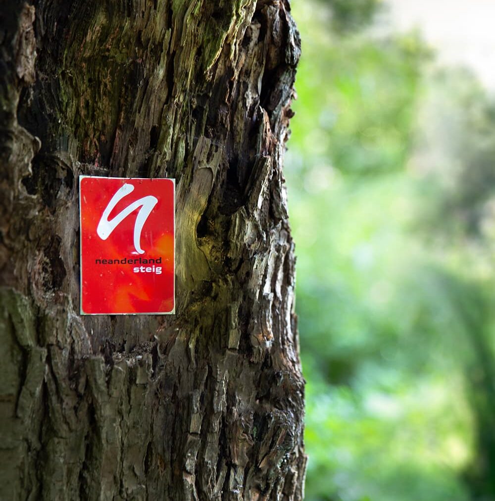sport-wandern-neanderland-steig