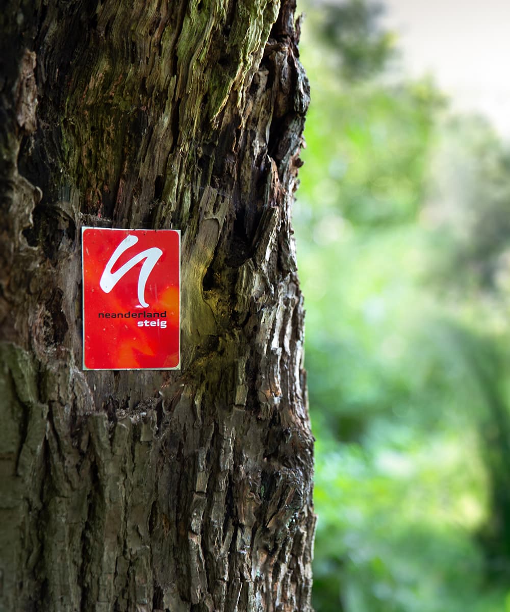 sport-wandern-neanderland-steig